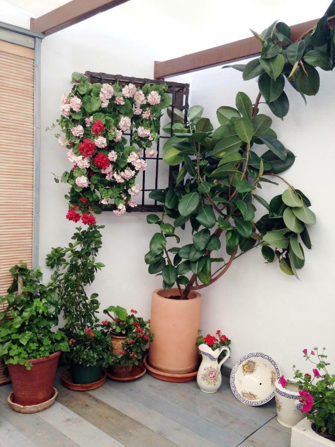 Patio San Lorenzo Córdoba Exteriör bild
