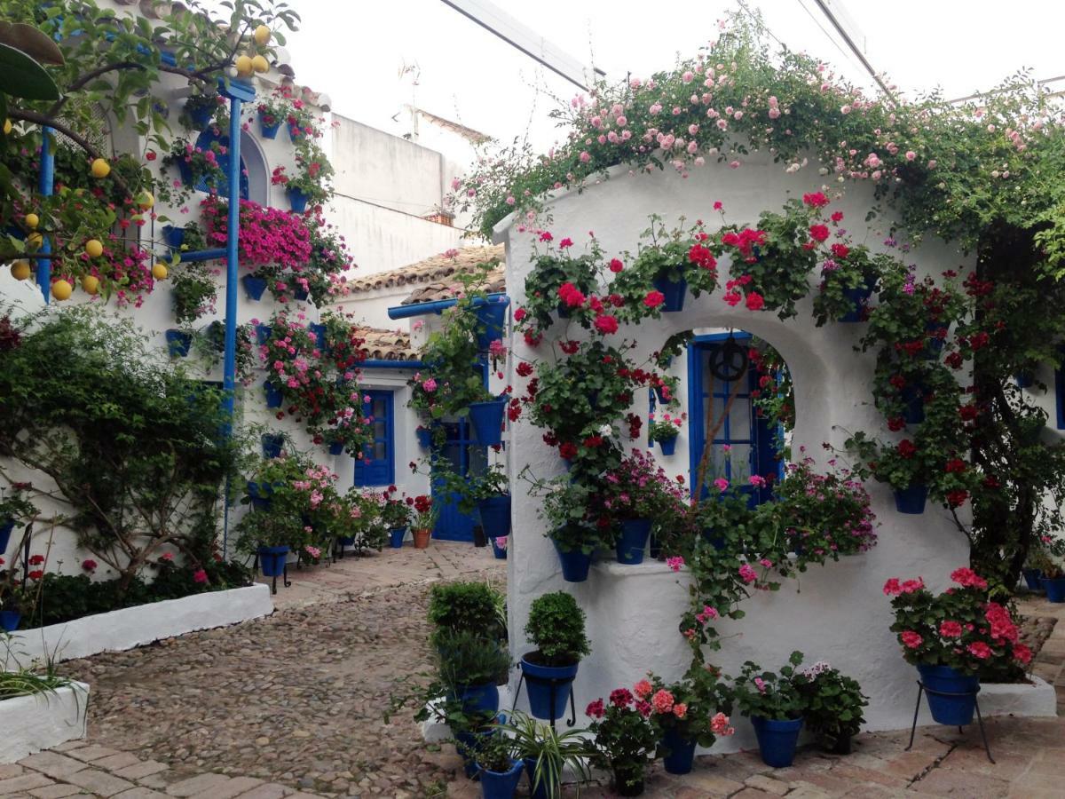 Patio San Lorenzo Córdoba Exteriör bild